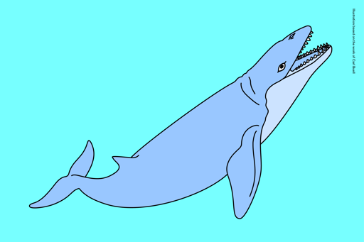 Illustration of Janjucetus hunderi