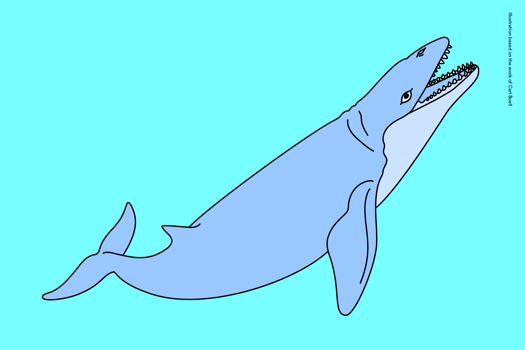 Illustration of Janjucetus hunderi