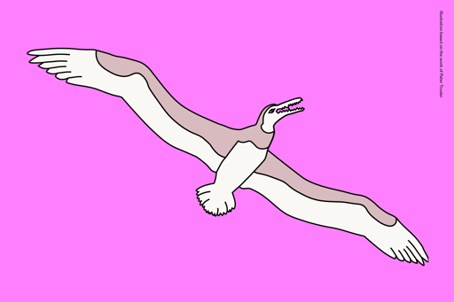 Illustration of Pelagornis