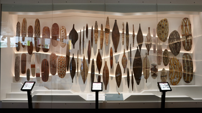 Many Indigenous artefacts in case