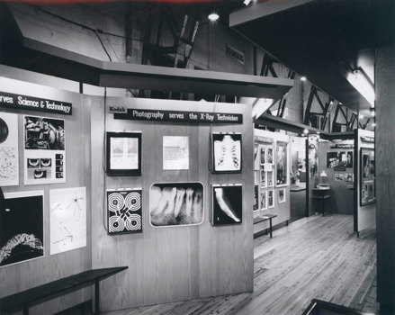 Exhibition display stand with a wood veneer panel. X-rays and a sign are on display