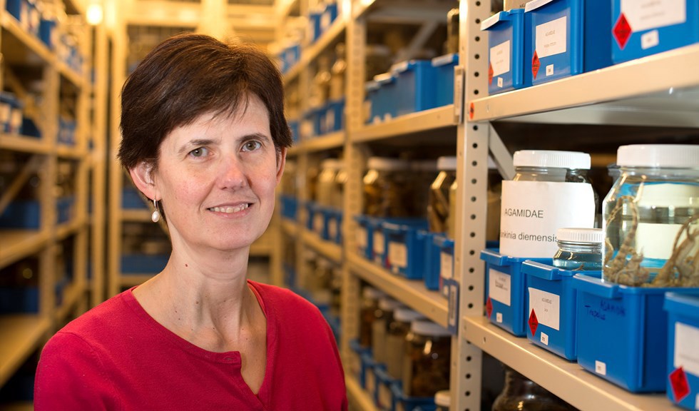Dr Jane Melville in a herpetology research laboratory at the Melbourne Museum.