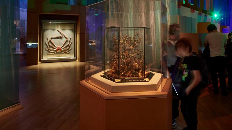 People viewing a museum exhibition