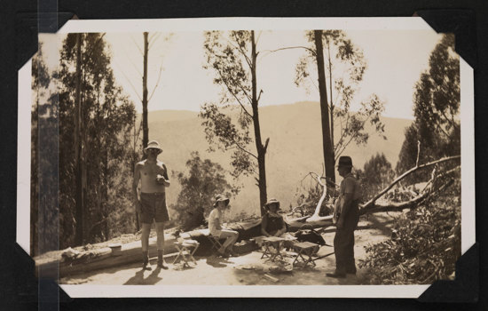 Group of people having a picnic in a bush setting