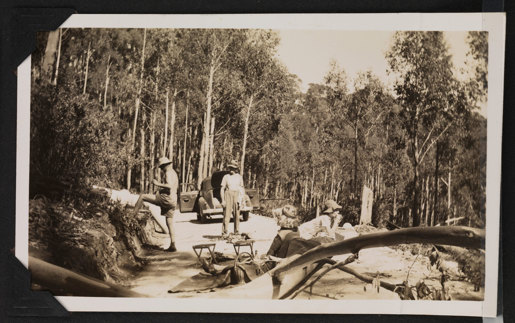 Group of people having a picnic in a bush setting