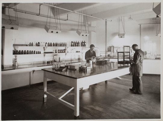 Two workers working at large table