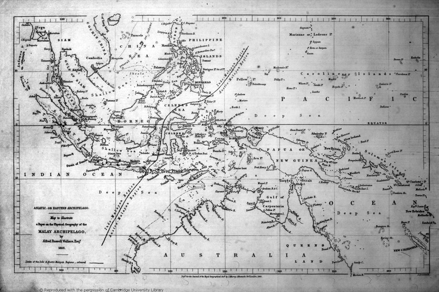 A line between Bali and Lombok, and Borneo and Sulawesi