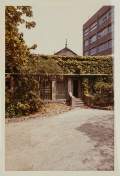Building with ivy growing over the facade