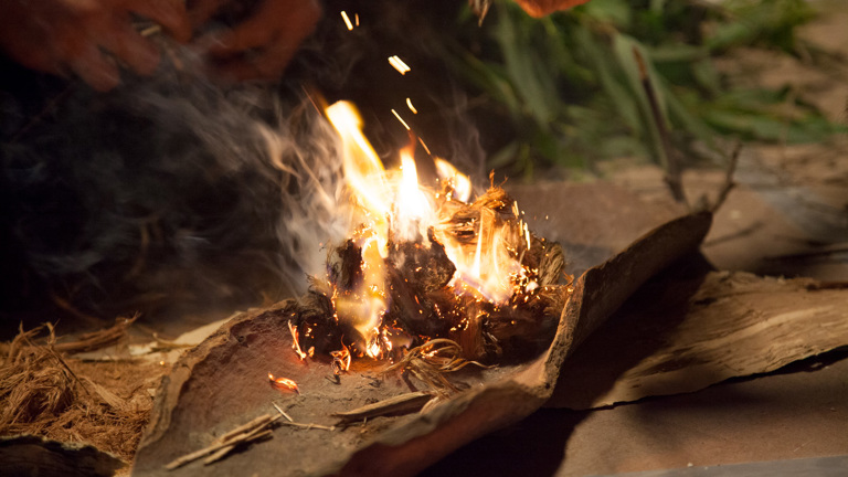 Small fire in hollow bark container