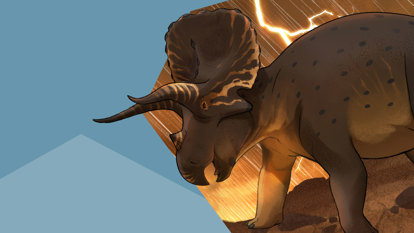 illustration of triceratops