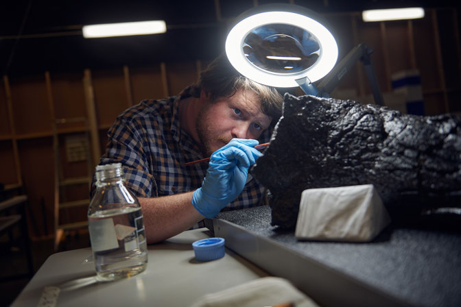 A man with blue gloves is closely examining a fossil. He has a brush in his right hand.