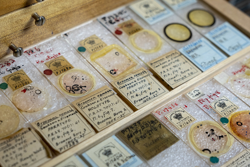 A photograph of colourful glass slides in a wooden drawer