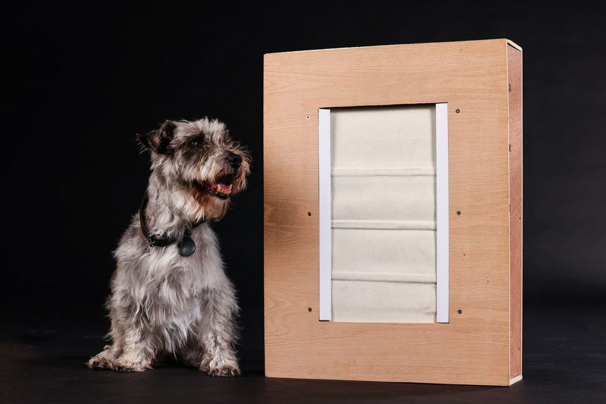 A dog wears a leather collar with a black tag. The dog sits next to a wooden box with an inbuilt door.