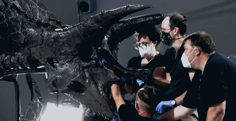 Triceratops TV