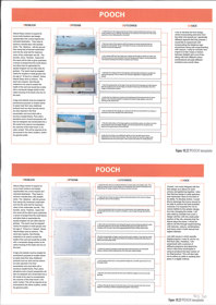 Folio page "Pooch" featuring a table "Problems, Options, Outcomes, Choices"