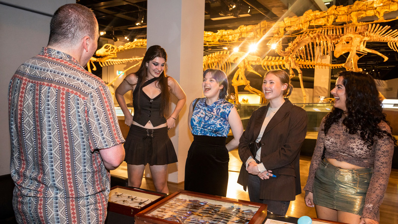 Four museum goers standing in front of display cases containing butterflies and insects laugh as a Museum Victoria Scientist entertains them with education lessons about the museum's insect collections. 