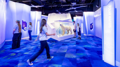 Students explore the Ice Biome section of Our Wondrous Planet Exhibition at Melbourne Museum. A polar bear features prominently. 