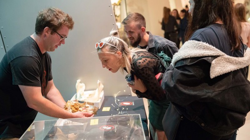 A museums Victoria scientist shows the skull of an Australian megafauna at Nocturnal, Melbourne Museum.