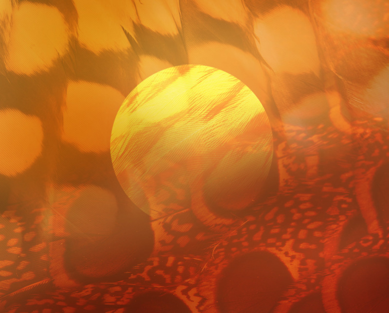 Cultural Competency Program for Teachers and Corporations