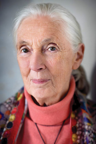 Dr Jane Goodall