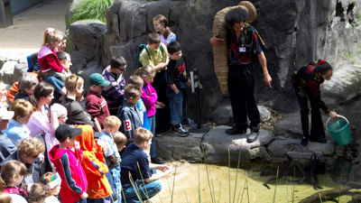 children watching eels being fed