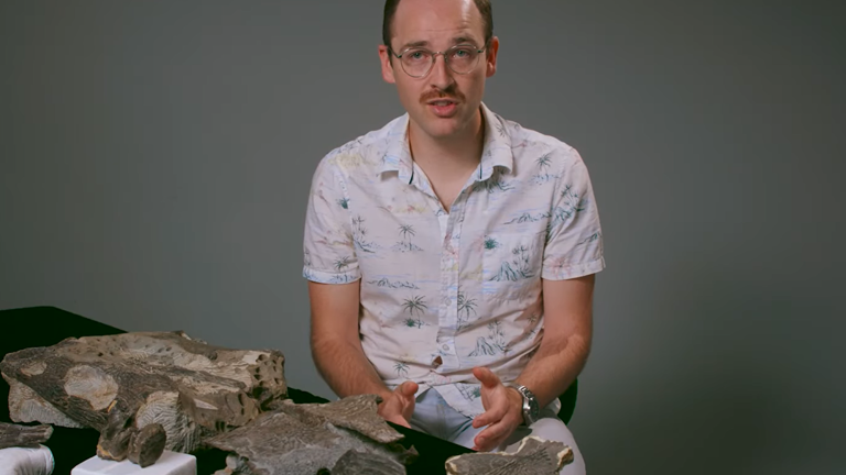 Koolasuchus: Victoria's State Fossil Emblem