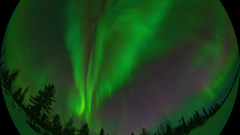 A spherical image of the Northern Lights above a forested snowscape