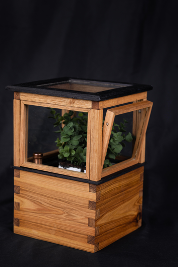 A square wooden box with glass sides and a glass top. A plant is visible through the glass panels. One of the glass panels is slightly open.