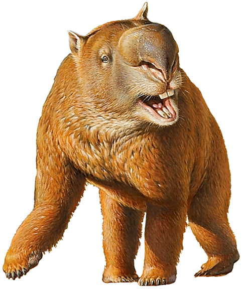Illustration of Diprotodon optatum (a rhinoceros-sized quadruped) taken from Australia Post's Megafauna stamp issue