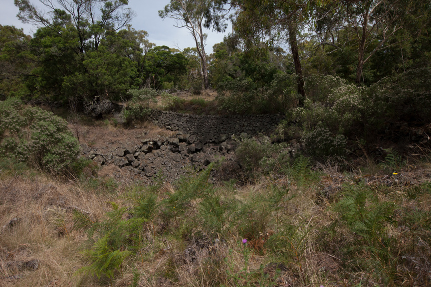 A bumpy, grassy, rocky landscape shot in daytime