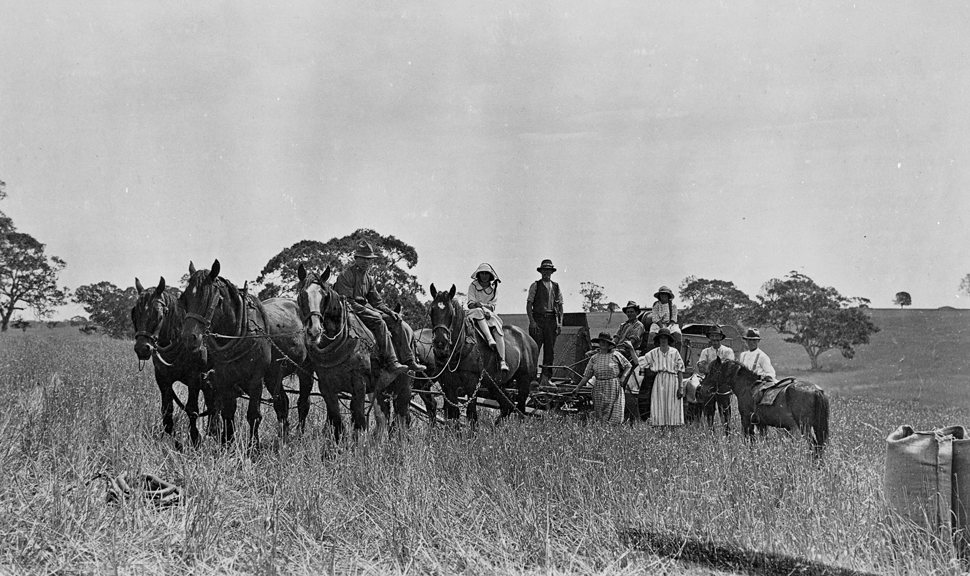 McLaughlin family with horse-drawn harvester on traditional Eastern Maar-Gunditjmara land granted through Closer Settlement scheme, Wando Vale, Western Victoria, 1928.
