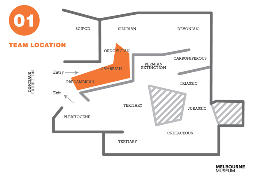 Floor plan of the 600 million years exhibition