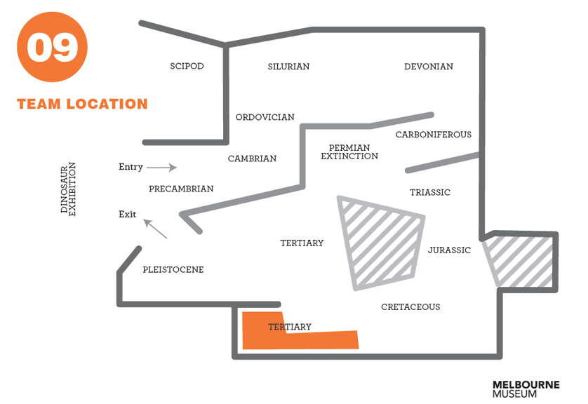 Floor plan of 600 million years exhibition