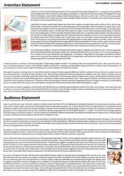 This folio page details Emily Widjaja’s intention and audience statements for her Media Print project ‘i'm [not] okay’.