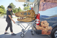 A staff member loads a Tarbosaurus skull into the Outreach Van.