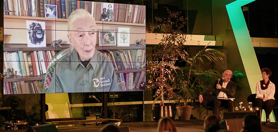 Future Forums Dr Jane Goodall In Conversation public program event, Melbourne Museum.