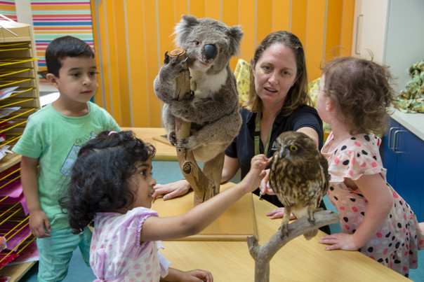 Alex Price, showing kindergarten children a koala and owl specimen during the 'Australian Animals' outreach program.