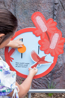 A child using an interactive that show a bird and flower motif, in the Gandel Gondwana Garden