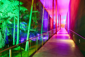 Coloured lights along a pathway