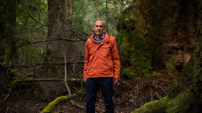 Bob Brown in an Australian rainforest.