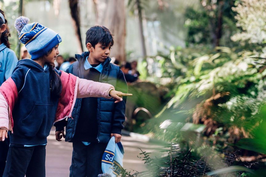 Two students in the Forest Gallery, one is pointing at something hidden and exciting, perhaps a lizard?