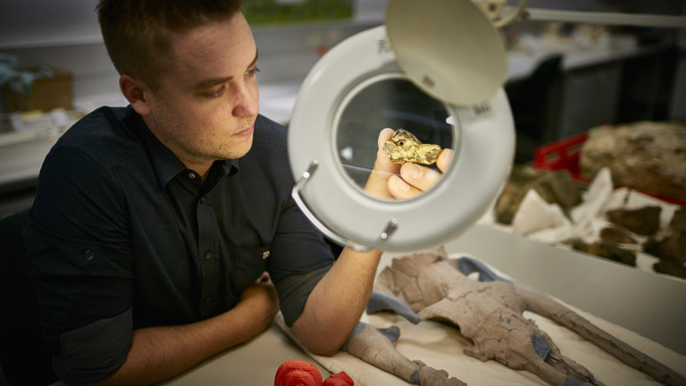 A scientist holds a fossil ear bone of an early toothed mysticete behind a microscope