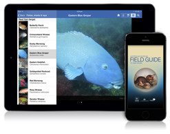 An iphone and ipad showing the Field Guide to NSW Fauna app on screen