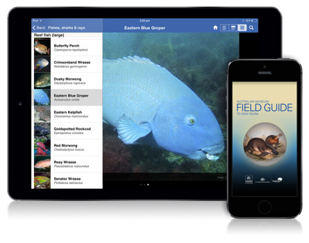 An iphone and ipad showing the Field Guide to NSW Fauna app on screen
