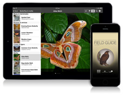 An iPad and iPhone showing the Field Guide to NT Fauna app on screen