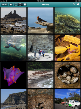 Screen shot of an image gallery