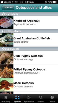 Screenshot from the app