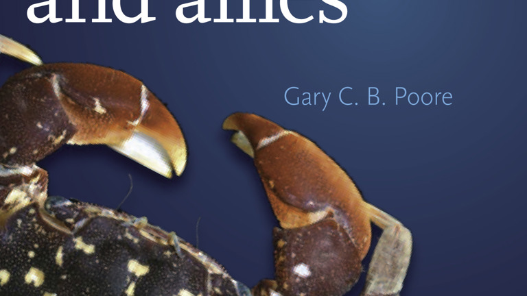 Cover of Museum Victoria field guide Crabs, Hermit Crabs and Allies