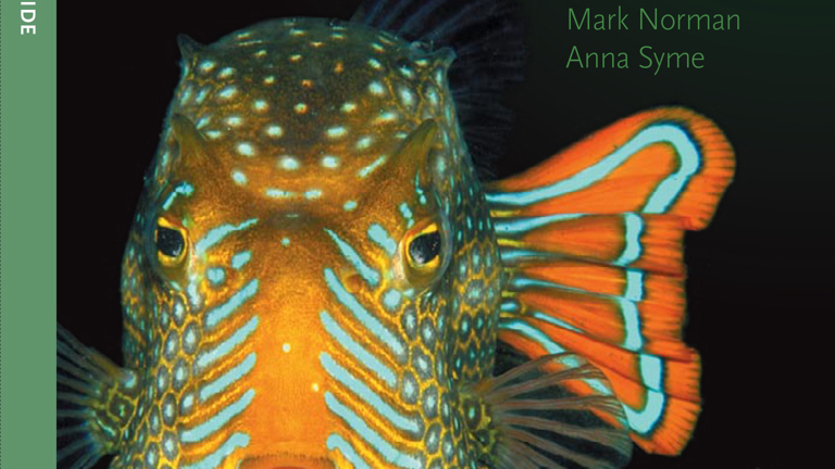 Cover of An Introduction to Marine Life