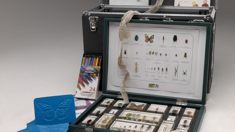 Various objects and props relating to exploring nature used in outreach programs